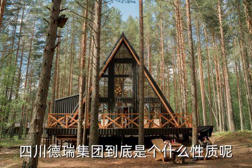 四川德瑞集团到底是个什么性质呢