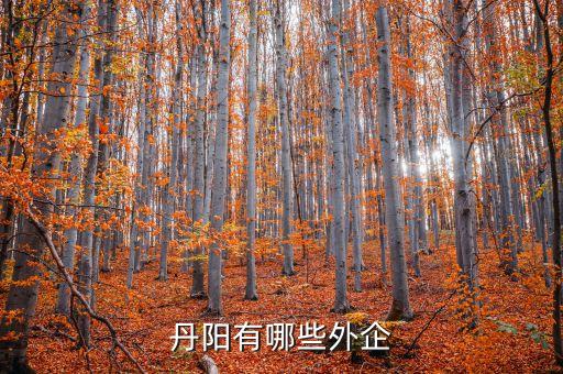 丹阳有哪些外企