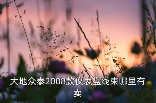 大地众泰2008款仪表盘线束哪里有卖