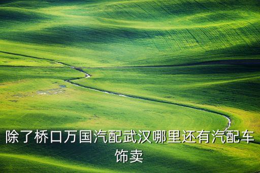 除了桥口万国汽配武汉哪里还有汽配车饰卖