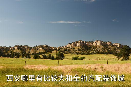 西安哪里有比较大和全的汽配装饰城