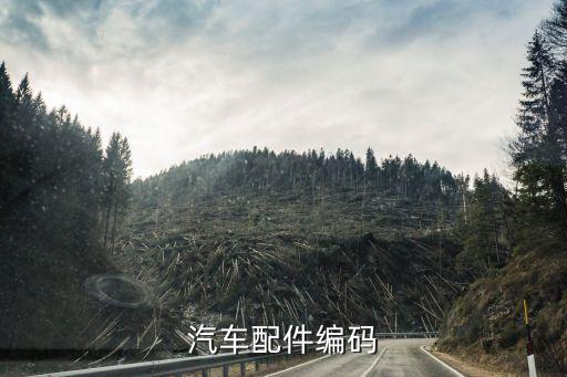 汽车配件编码