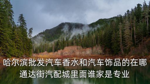 哈尔滨批发汽车香水和汽车饰品的在哪通达街汽配城里面谁家是专业