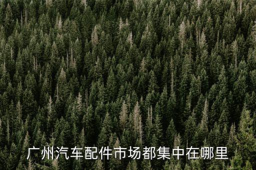 广州汽车配件市场都集中在哪里