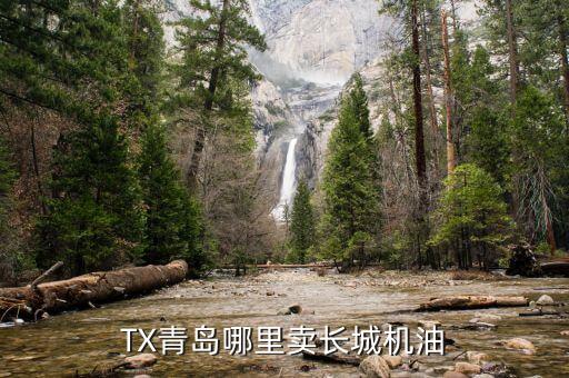 TX青岛哪里卖长城机油