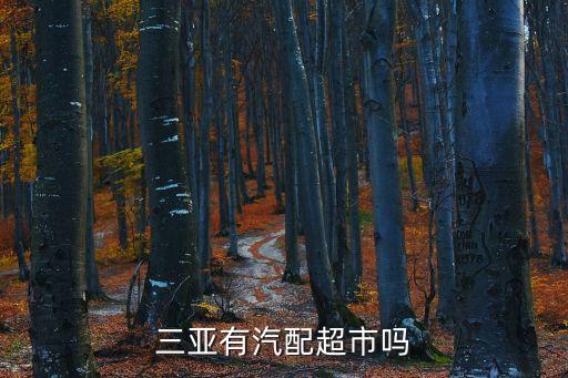 三亚有汽配超市吗