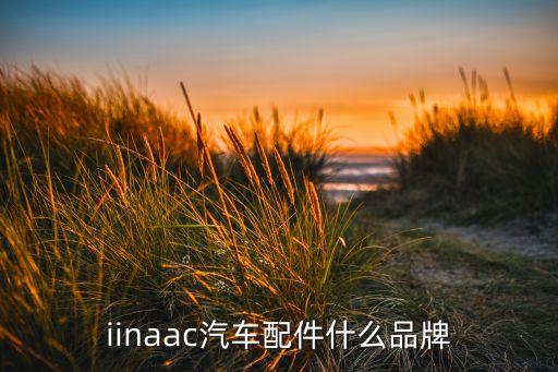 iinaac汽车配件什么品牌