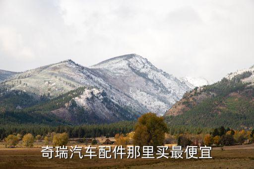 奇瑞汽车配件那里买最便宜
