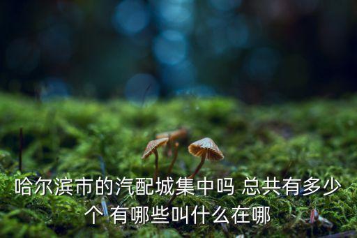 哈尔滨市的汽配城集中吗 总共有多少个 有哪些叫什么在哪