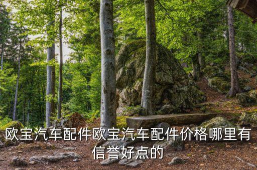 欧宝汽车配件欧宝汽车配件价格哪里有信誉好点的