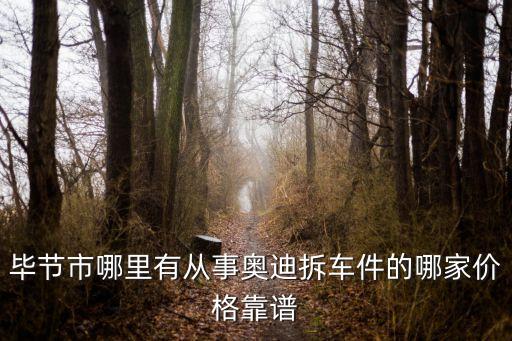 毕节市哪里有从事奥迪拆车件的哪家价格靠谱