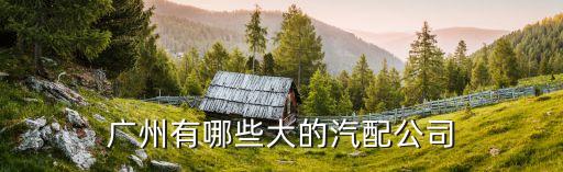 广州有哪些大的汽配公司
