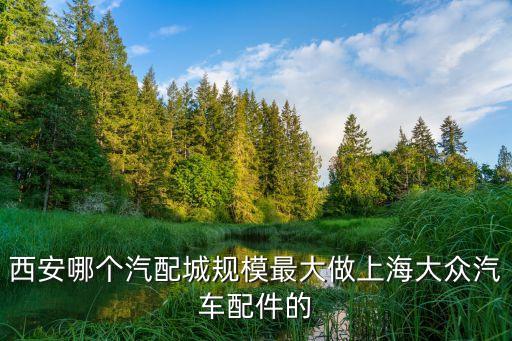 西安哪个汽配城规模最大做上海大众汽车配件的