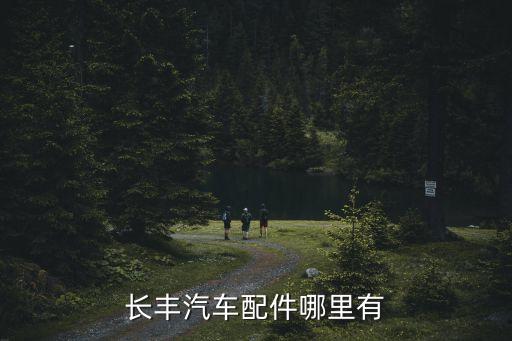 长丰汽车配件哪里有