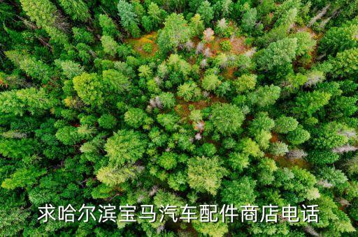 求哈尔滨宝马汽车配件商店电话