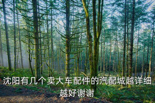 沈阳有几个卖大车配件的汽配城越详细越好谢谢