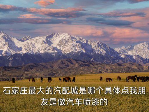 石家庄最大的汽配城是哪个具体点我朋友是做汽车喷漆的