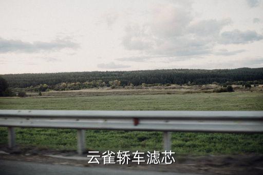 云雀轿车滤芯