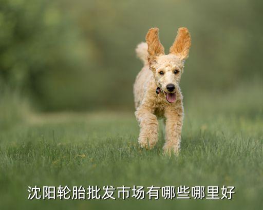 沈阳轮胎批发市场有哪些哪里好