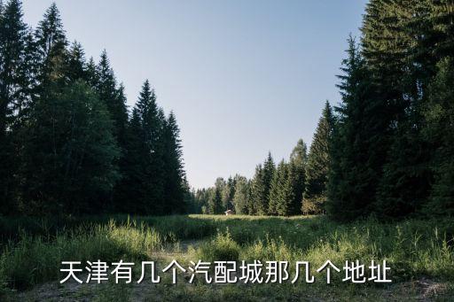 天津有几个汽配城那几个地址