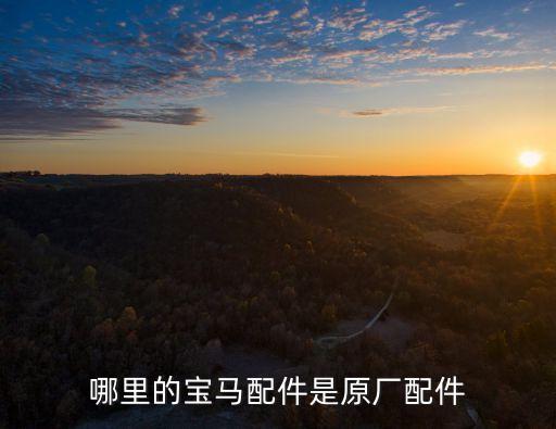 哪里的宝马配件是原厂配件