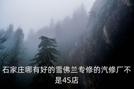 石家庄哪有好的雪佛兰专修的汽修厂不是4S店