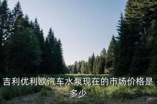 吉利优利欧汽车水泵现在的市场价格是多少