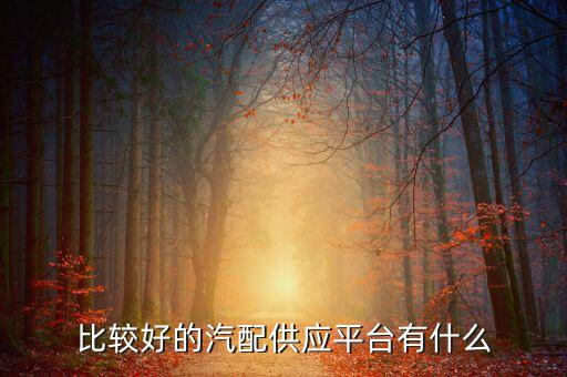 比较好的汽配供应平台有什么