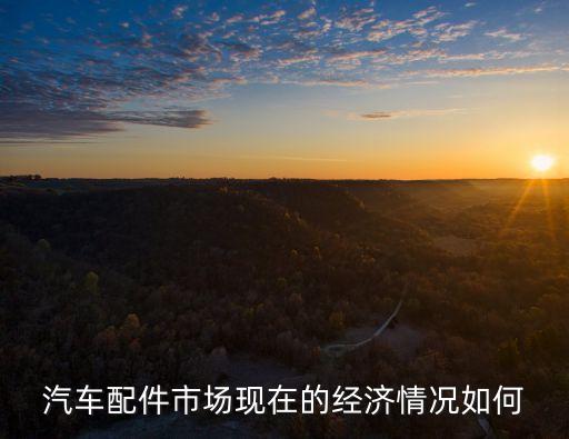 汽车配件市场现在的经济情况如何