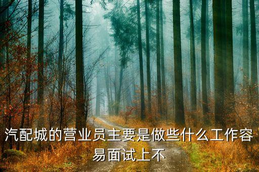 汽配城的营业员主要是做些什么工作容易面试上不