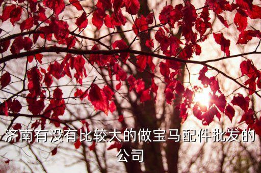 济南有没有比较大的做宝马配件批发的公司