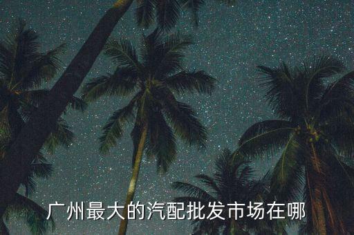 广州最大的汽配批发市场在哪