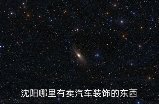 沈阳哪里有卖汽车装饰的东西