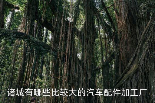 诸城有哪些比较大的汽车配件加工厂