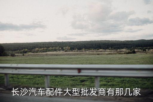 长沙汽车配件大型批发商有那几家
