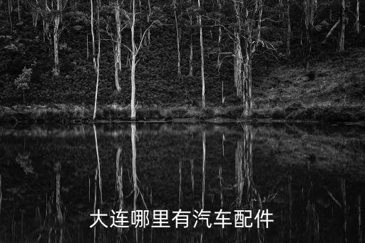 大连哪里有汽车配件