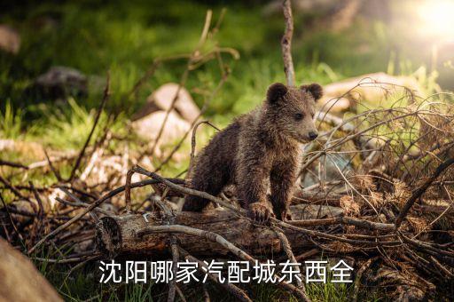 沈阳哪个汽车配件，请问各位大哥沈阳小车汽配城有几个都在哪谢谢