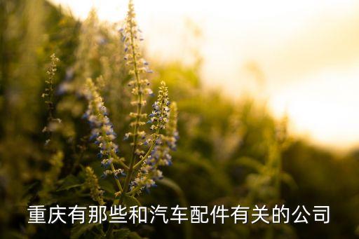 重庆有那些和汽车配件有关的公司