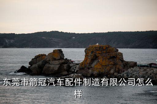 东莞市箭冠汽车配件制造有限公司怎么样