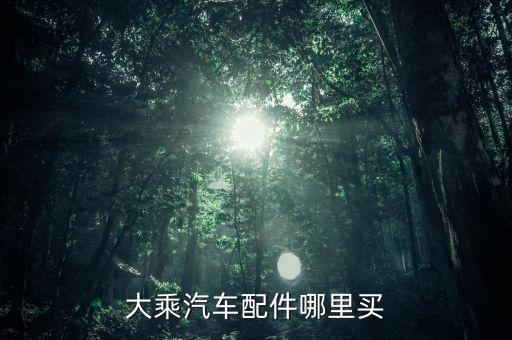 大乘汽车配件哪里买