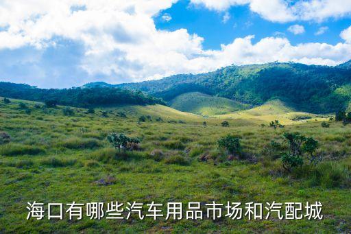 海口有哪些汽车用品市场和汽配城