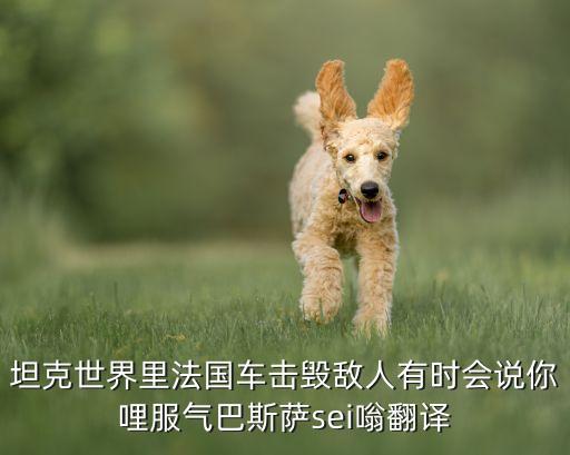 坦克世界里法国车击毁敌人有时会说你哩服气巴斯萨sei嗡翻译