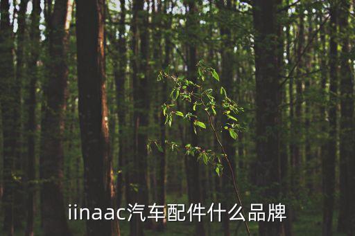 iinaac汽车配件什么品牌