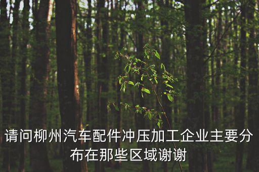 请问柳州汽车配件冲压加工企业主要分布在那些区域谢谢