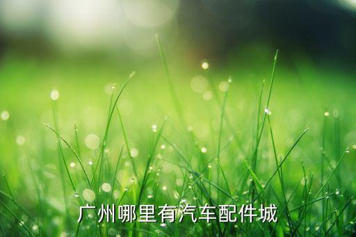 广州哪里有汽车配件城
