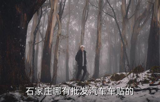 石家庄恒敖汽配城，石家庄哪有批发汽车车贴的