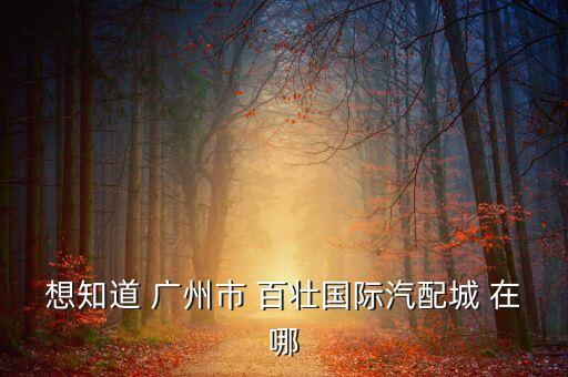 想知道 广州市 百壮国际汽配城 在哪
