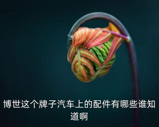 博世这个牌子汽车上的配件有哪些谁知道啊