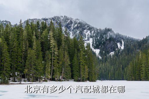 北京大车配件汽配城，北京有多少个汽配城都在哪