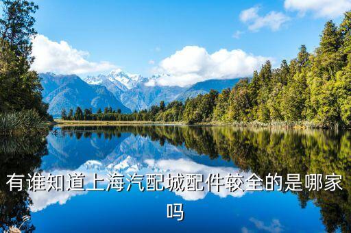 有谁知道上海汽配城配件较全的是哪家吗